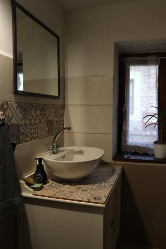 a bathroom with a sink and a mirror on a counter at Hostinec Stará Krčma in Stratená
