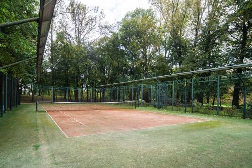 a tennis court with a net on top of it at SCHLOSSRESIDENZ - Boutique Apartments & Hotel Suiten in Schloß Ricklingen