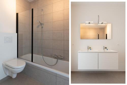 une salle de bains avec douche, toilettes et lavabo dans l'établissement Villa Petit Mouche - Recently renovated villa close to beach, à Coxyde