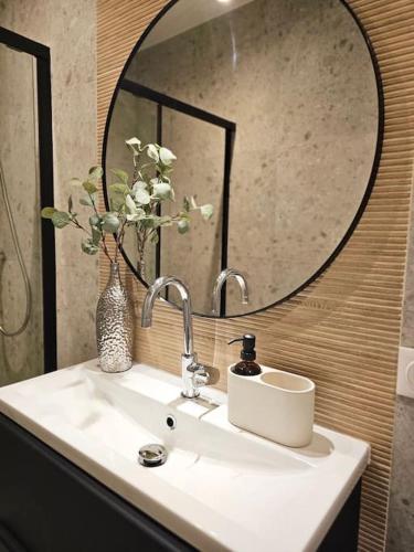 une salle de bain avec un lavabo et un miroir dans l'établissement ''Lotus'' Superbe T2 centre ville climatisé - Wifi, à Sète