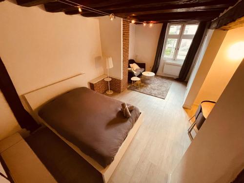 une chambre avec un lit et un salon dans l'établissement Le studio la belle et la bete -326, à Rouen