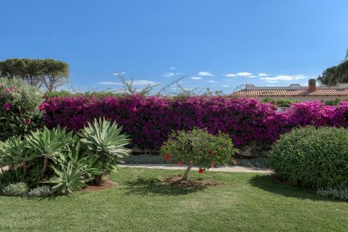 LM7 Luxury Villa Sicilyにある庭
