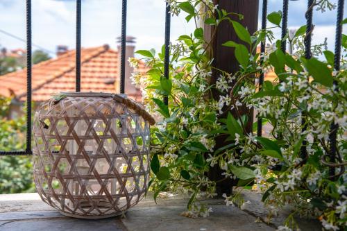 a vase sitting on a table next to some plants at La Casa De Vacation in Lafkos