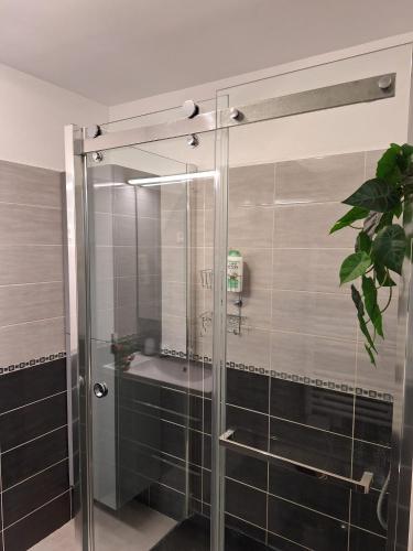 une douche avec une porte vitrée dans une salle de bain dans l'établissement Proche Montpellier, T3, 2 chambres, parking, tram, à Castelnau-le-Lez