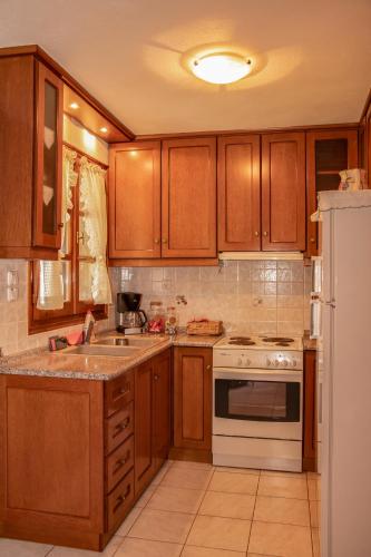 a kitchen with wooden cabinets and a white refrigerator at La Casa De Vacation in Lafkos