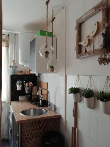 - une cuisine avec un évier et des plantes en pot sur le mur dans l'établissement Coeur de Paris, près Tour Eiffel, à Paris