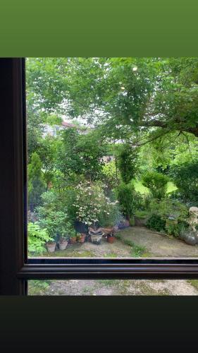 a window view of a garden with potted plants at La Maison Ancienne Eymet in Eymet