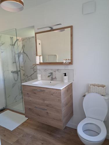 une salle de bain avec un lavabo, des toilettes et un miroir dans l'établissement Gîte Les Pâquerettes, à Bretteville-du-Grand Caux