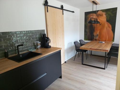 Dapur atau dapur kecil di B&B Klein koestapel