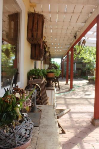 a patio with a table with potted plants on it at Ferienhof Meetz - Lütt Stuv in Hinrichsdorf