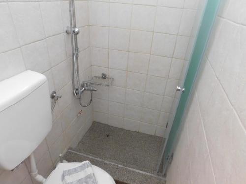 a bathroom with a shower with a toilet in it at BollasStudios in Plitra