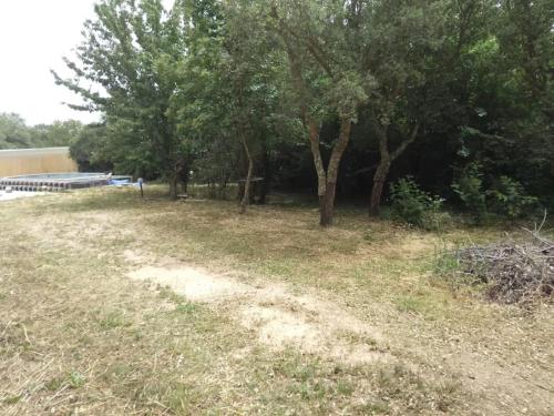 a field with trees and grass and some trees at Casa Immersa nella Campagna in Aggius