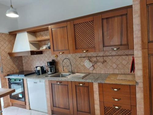 a kitchen with wooden cabinets and a sink at Casa Immersa nella Campagna in Aggius