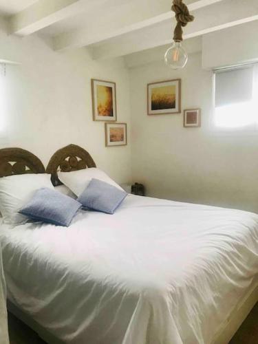 une chambre avec un lit blanc avec deux oreillers bleus dans l'établissement Belle appartement T2 avec jardin, à Labenne