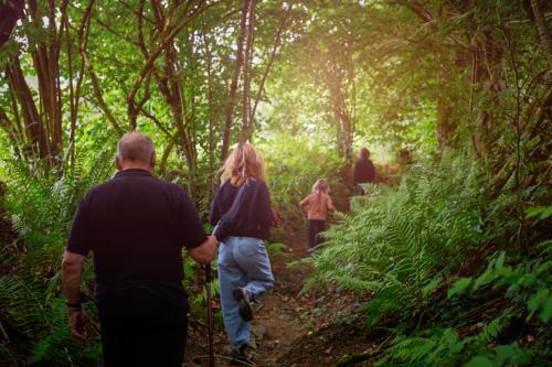 a group of people walking down a trail in the forest at Hillview Hotel Grandvoir in Neufchâteau