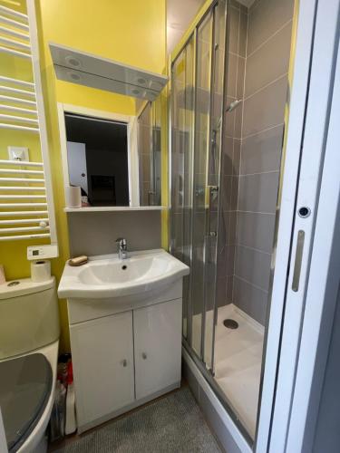 une salle de bain avec un lavabo et une douche dans l'établissement VANVES studio calme rez-de-chaussée cour Porte de Versailles, à Vanves