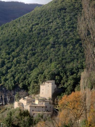 a small village on a hill with trees at B&B Beep Beep, Tranquillo in Scheggino