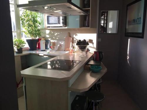Appartement charmant avec vue sur Tour Eiffel - Paris - 60 m²