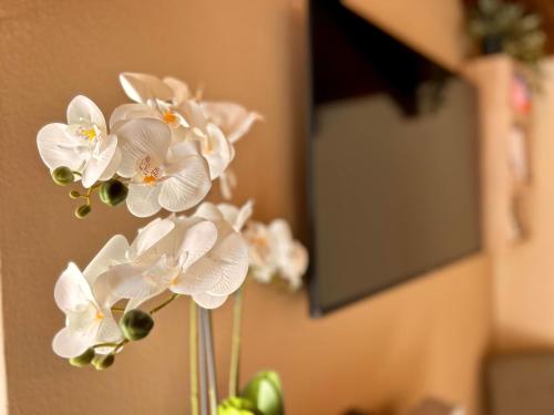 Fotografie z fotogalerie ubytování CASA GIO.ANNA v destinaci Mergozzo