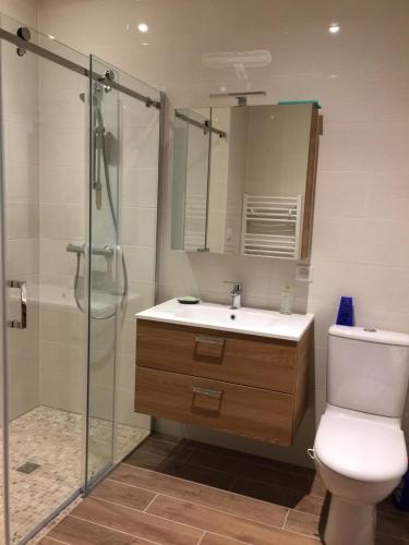 une salle de bain avec toilettes, douche et lavabo dans l'établissement Authentique ferme périgourdine, à 5km au sud de Sarlat, 1km de la rivière, à Vitrac