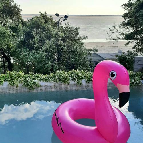 un flotteur de cygne rose dans une piscine dans l'établissement Villa ILO - devant la plage des Nonnes, à Meschers-sur-Gironde