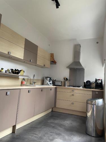 Kuchyň nebo kuchyňský kout v ubytování Grande maison hyper centre