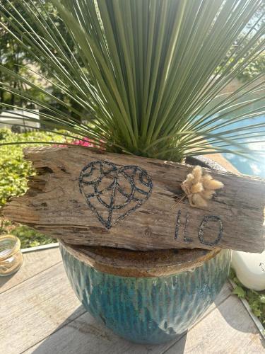 une plante dans un bol bleu sur une table dans l'établissement Villa ILO - devant la plage des Nonnes, à Meschers-sur-Gironde