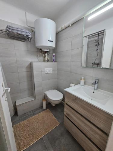une salle de bain avec toilettes et lavabo dans l'établissement Provençal-style apartment, à Aix-en-Provence