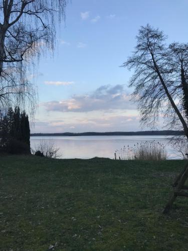 a group of birds standing on the shore of a lake at Ferienwohnung Am Mellensee in Klausdorf