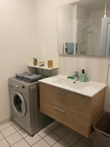 une salle de bain avec une machine à laver et un lavabo dans l'établissement Le Grilleton, à Dole