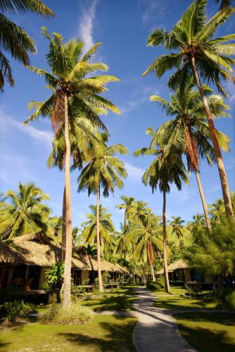 a path lined with palm trees in front of a resort at Tamanu Beach in Arutanga