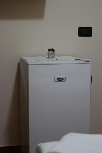 a small refrigerator with a plant on top of it at Vila Bajrami in Vlorë