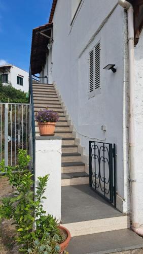 Foto Casa Mia 6