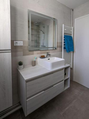 une salle de bain avec un lavabo blanc et un miroir dans l'établissement Appartement Versailles, à Versailles