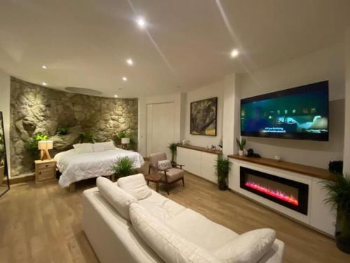 a large living room with a bed and a fireplace at Comfortable loft and great location in San Miguel de Allende