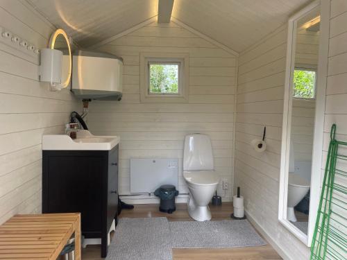 a small bathroom with a toilet and a sink at Södra Kärr 4 in Gränna