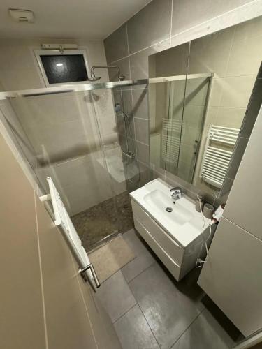 une salle de bain avec un lavabo et un miroir dans l'établissement Magnifique Maison 3P - Les coteaux, à Pierrelaye