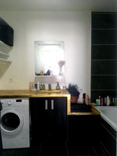 a kitchen with a sink and a washing machine at Chambre privée dans un roof-top unique in Colombes