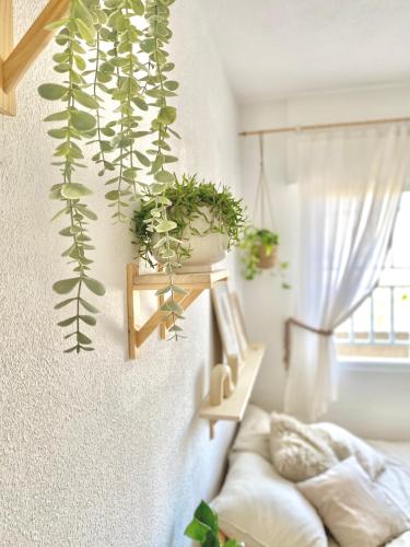 ein Schlafzimmer mit Pflanzen an der Wand und einer Couch in der Unterkunft La Casita de Mamacita in Los Alcázares