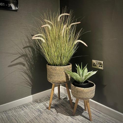 two potted plants sitting on stands next to a wall at The Enniskillen Hotel and Motel in Enniskillen