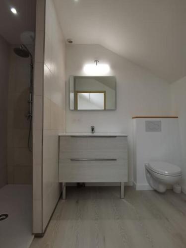 une salle de bain avec toilettes, lavabo et miroir dans l'établissement gites des ammonites, à Montalieu-Vercieu