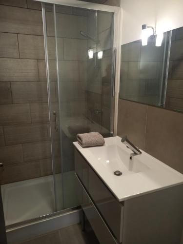 une salle de bain avec un lavabo et une douche dans l'établissement Joli studio à 5mn du centre-ville avec parking privé, à Castres