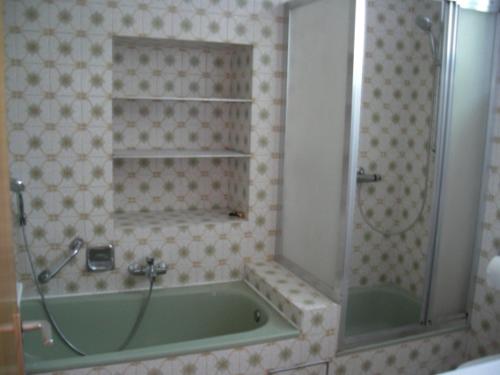 a bathroom with a green tub and a shower at Wohnung-Haus für Arbeiter und Monteure bis 11 Personen Amberg in Hahnbach