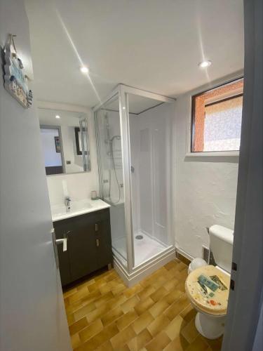 une salle de bain avec une douche, des toilettes et un lavabo dans l'établissement Appart Studio Mezzanine 2 couchages PORT LEUCATE NATURISME PL010-832, à Port-Leucate