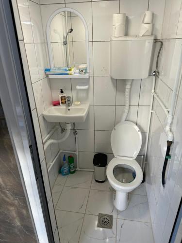 a small bathroom with a toilet and a sink at Apartman Aerodrom in Surčin