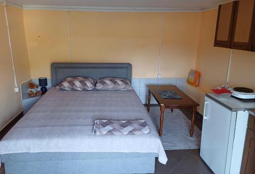 a small bedroom with a bed and a table at Apartman Pavle Virpazar in Virpazar
