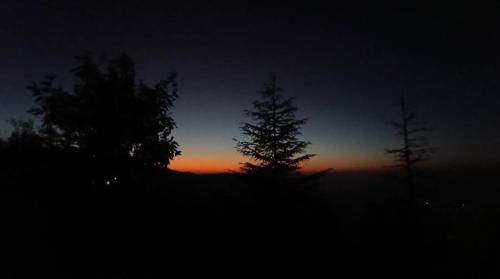 a silhouette of two trees at sunset at THE HIDEAWAY Homestay Chail in Chail