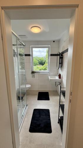 a bathroom with a shower and a sink and a window at Langenzersdorf Apartment in Langenzersdorf