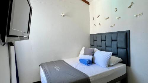 a bedroom with a bed with a tv and birds on the wall at Hermoso Apartasol!! cerca a Plaza Principal, Aire Acondicionado, Vista a la Piscina in Santa Fe de Antioquia