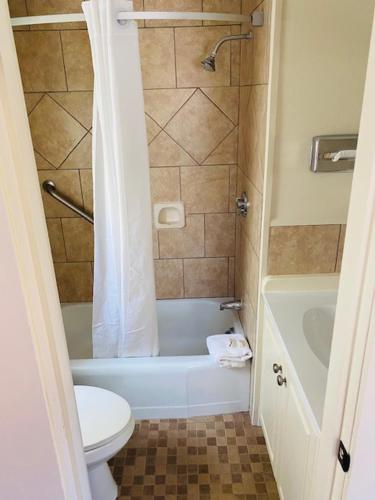 a bathroom with a toilet and a tub and a shower at Senator Inn & Spa in Augusta
